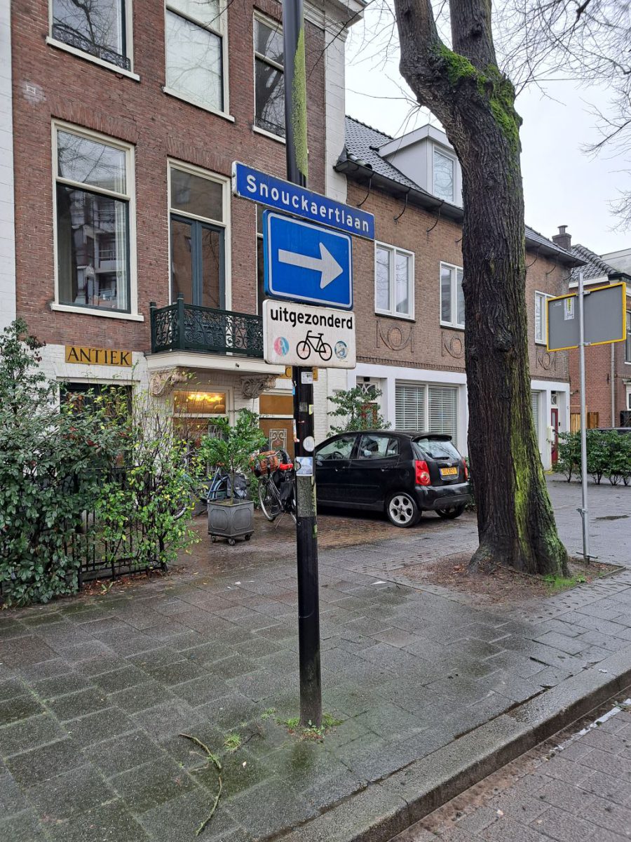 Snouckaertlaan, Amersfoort, BK ingenieurs, herinrichting, fietsstraat auto te gast, verkeer, bomen, BK ingenieurs, Zambeli landschapsarchitectuur, civiel, riool, afwatering, hemelwater, regenwater, boomspiegels,