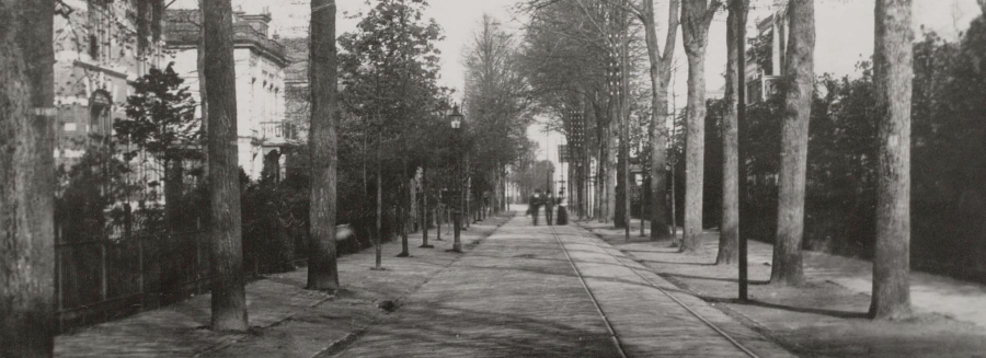 Snouckaertlaan, Amersfoort, BK ingenieurs, herinrichting, fietsstraat auto te gast, verkeer, bomen, BK ingenieurs, Zambeli landschapsarchitectuur, civiel, riool, afwatering, hemelwater, regenwater, boomspiegels,