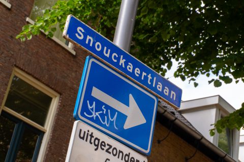 Snouckaertlaan, Amersfoort, BK ingenieurs, herinrichting, fietsstraat auto te gast, verkeer, bomen, BK ingenieurs, Zambeli landschapsarchitectuur, civiel, riool, afwatering, hemelwater, regenwater, boomspiegels,