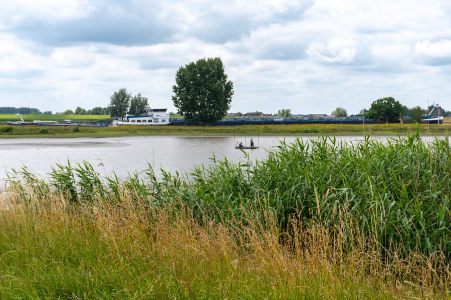 BK ingenieurs, waterbodemonderzoek, Rijkswaterstaat, Lek, Jaarsveld, Klaphek, Staatsbosbeheer, natuur, biodiversiteit