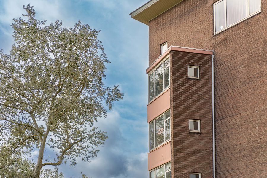 BK ingenieurs, IJmuiden, Waalstraat, Dolfijnstraat, Woningbedrijf Velsen, sloopvoorbereiding